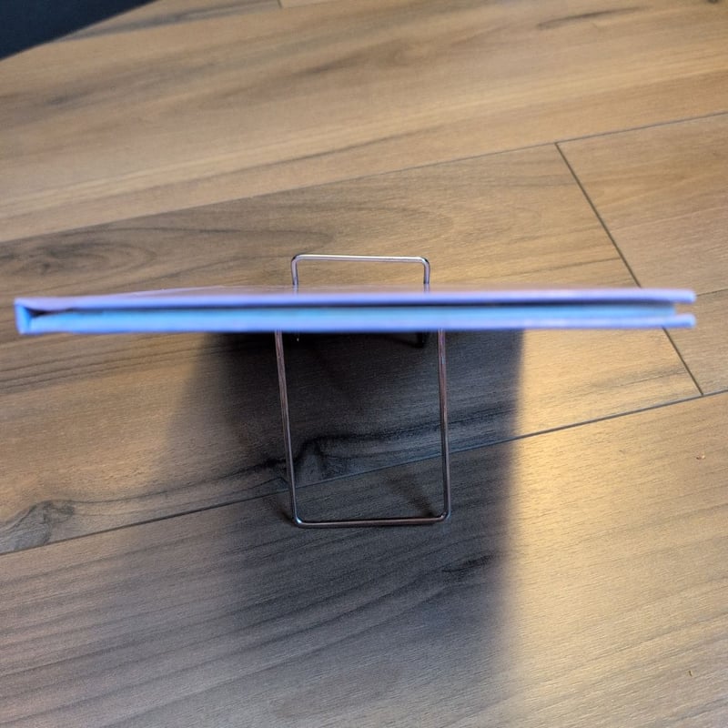 Berenstains' A Book (1997)