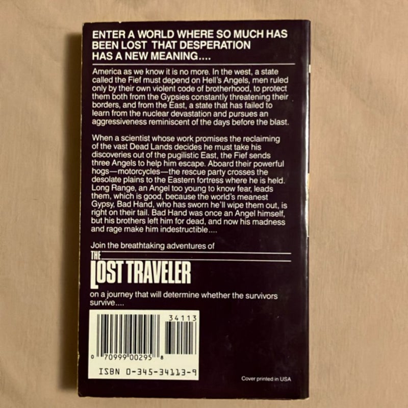 Lost Traveller