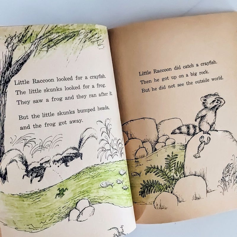 Little Raccoon and the Outside World ©1971