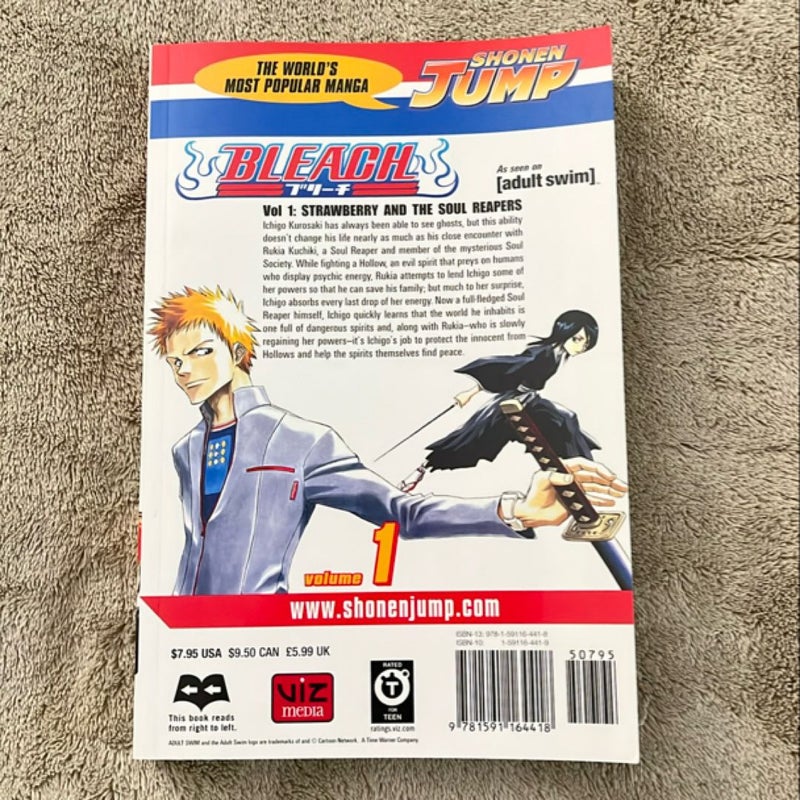 Bleach, Vol. 1