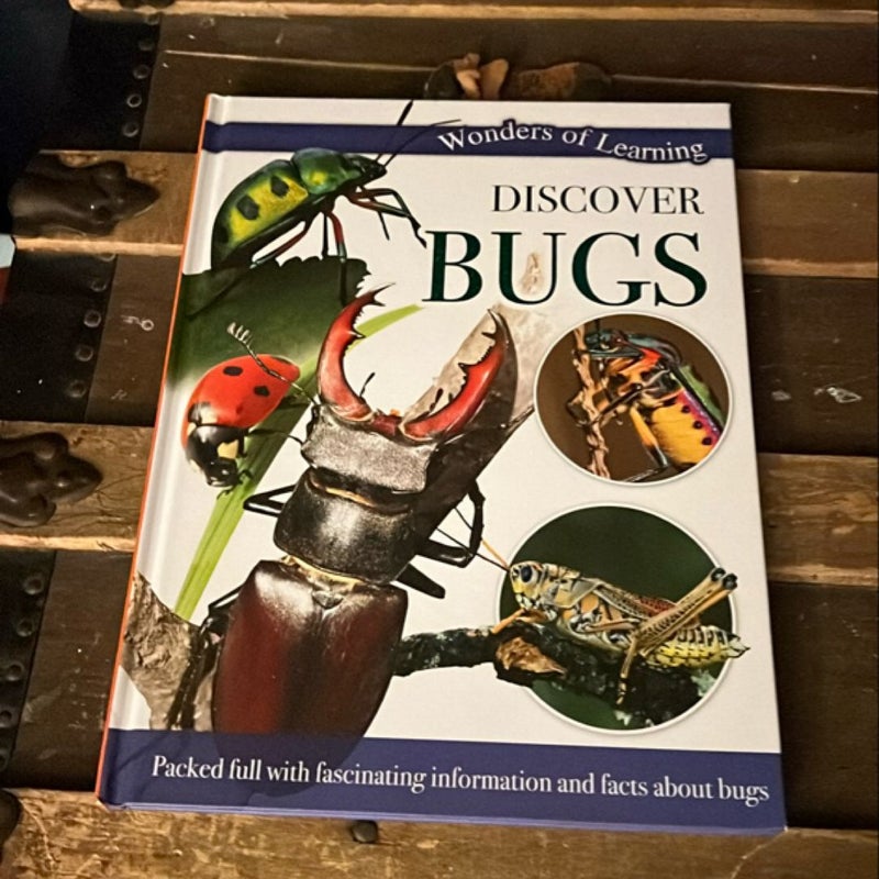 Discover Bugs