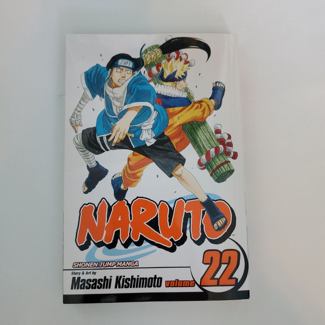 Naruto, Vol. 22