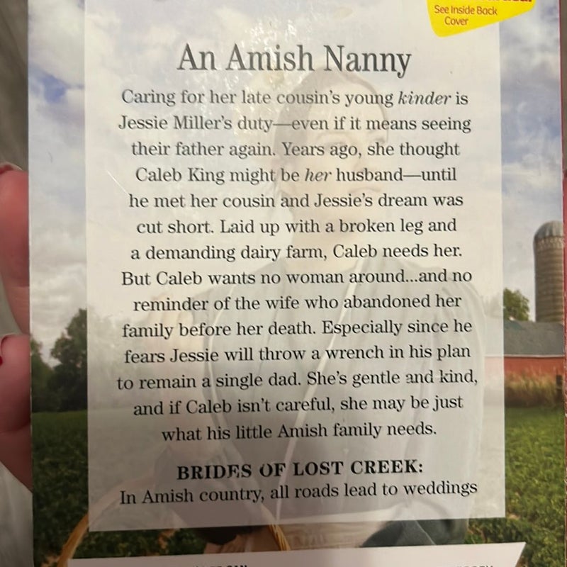 An Amish Christmas Promise(4 books)