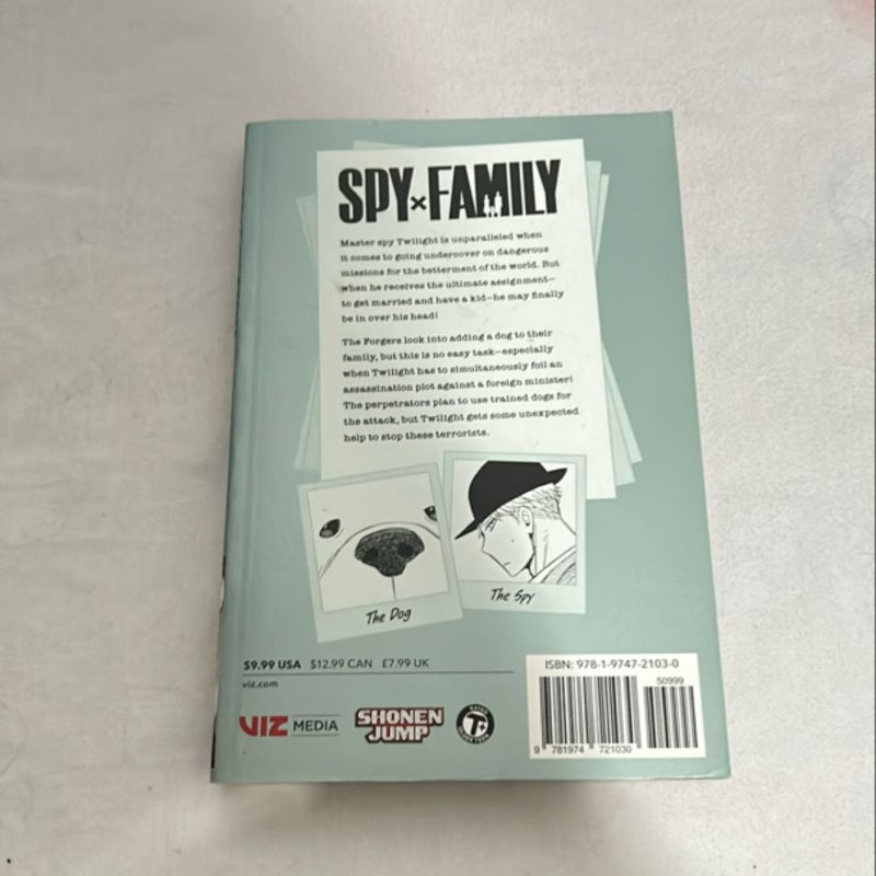 Spy X Family, Vol. 4