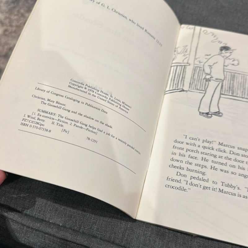 The Goosehill Gang and the Shadow on the Shade Mystery