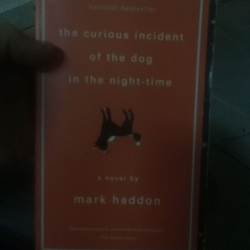 The Curious Incident of the Dog in the Night-Time