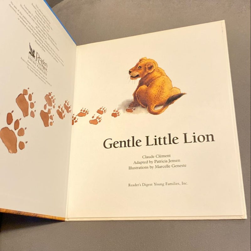 Gentle Little Lion