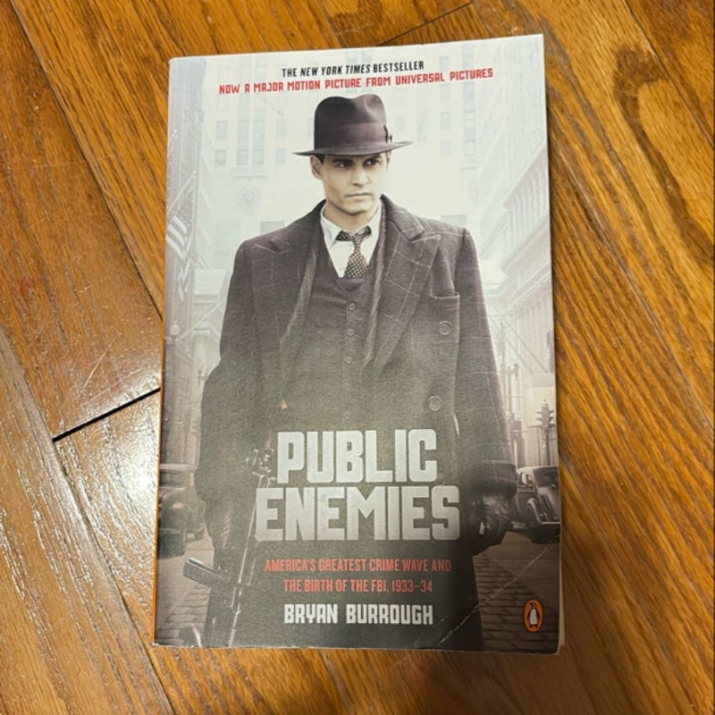 Public Enemies