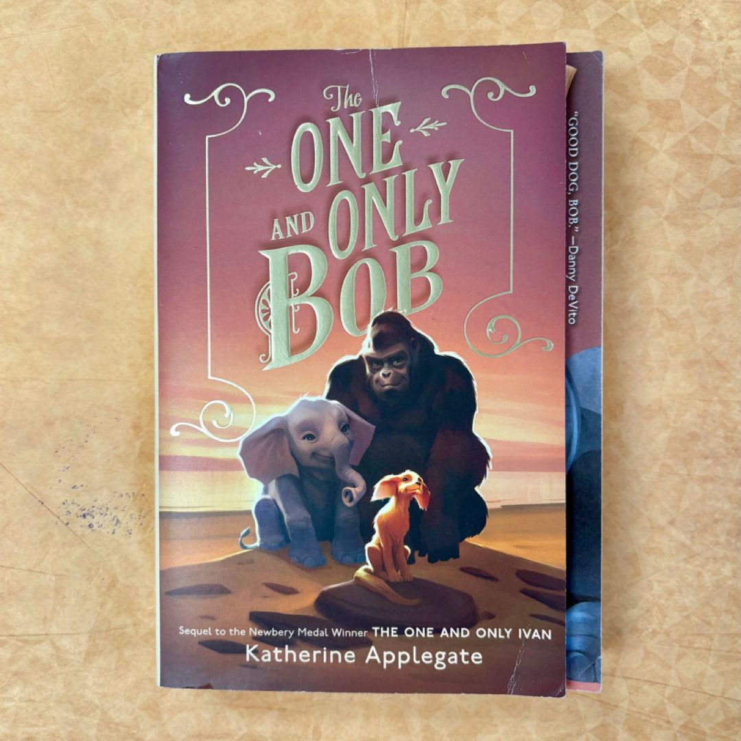 The One and Only Bob