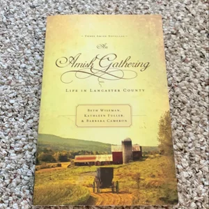 An Amish Gathering