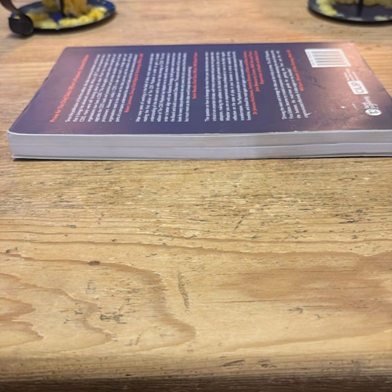 The Chief Data Officer's Playbook