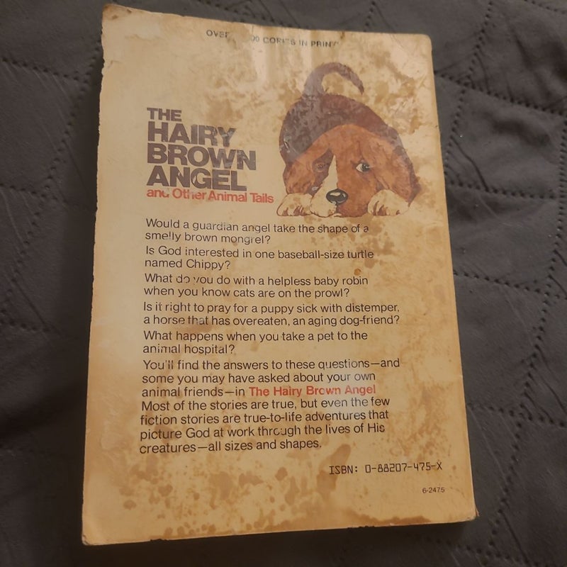 The Hairy Brown Angel