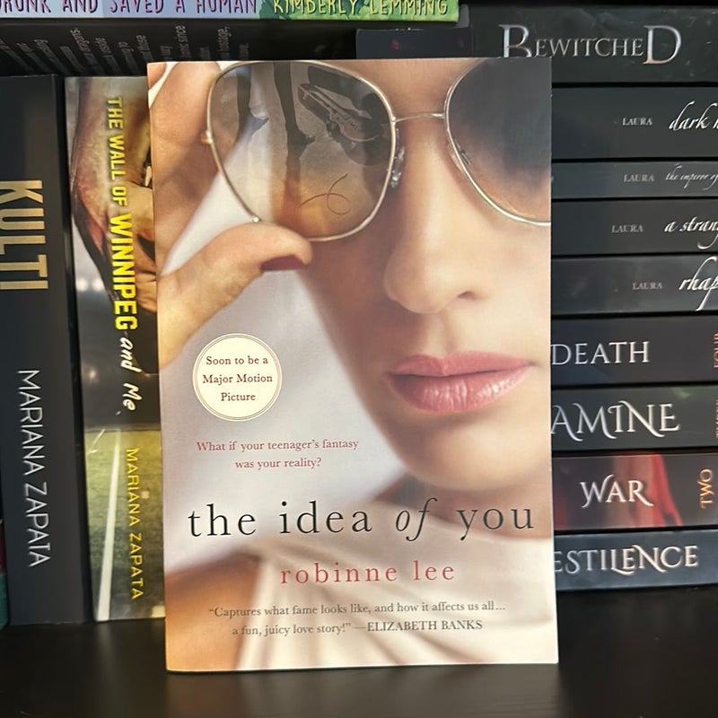 The Idea of You