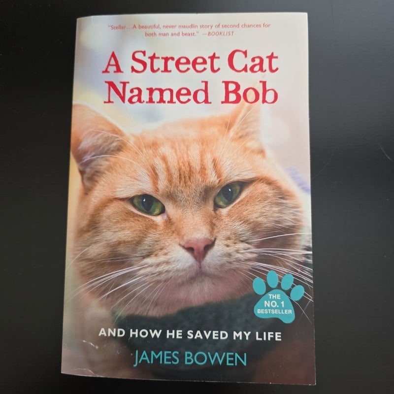 A Street Cat Named Bob