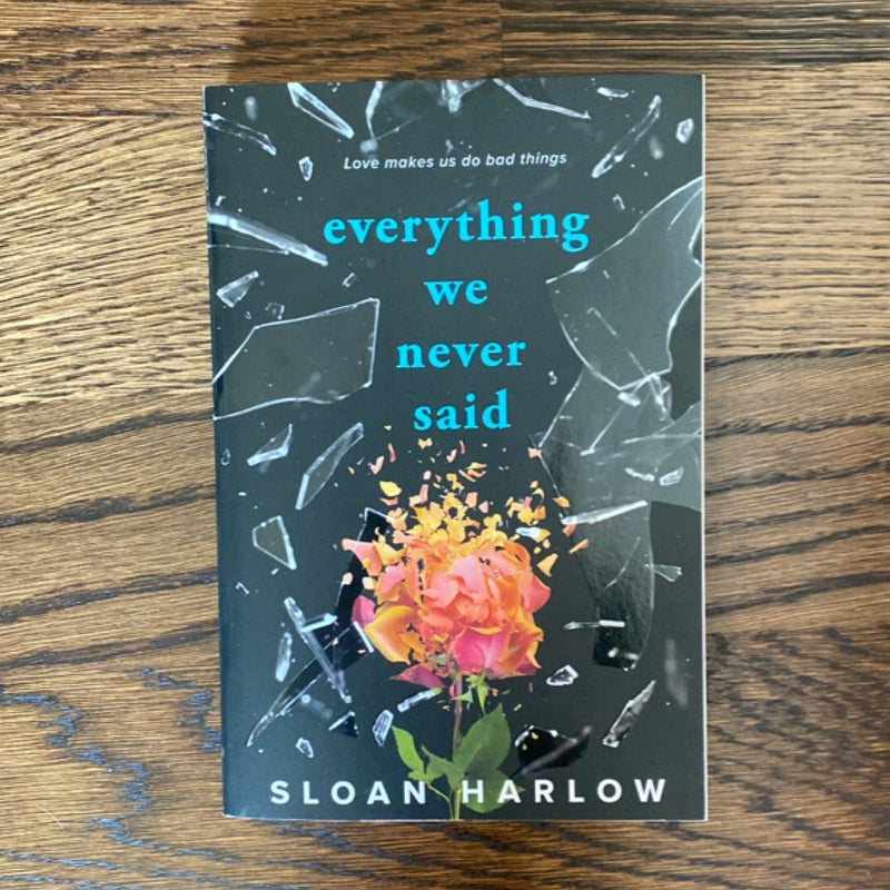 Everything We Never Said (new)