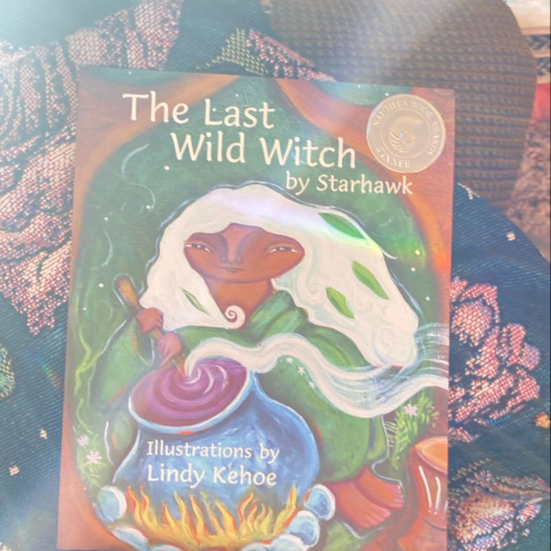 The Last Wild Witch Reprint in Paperback