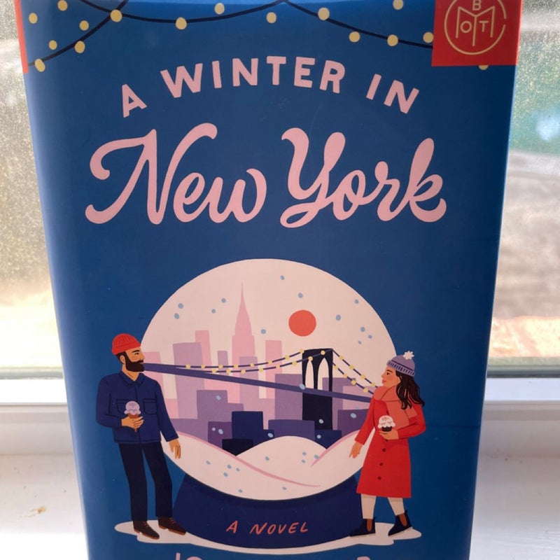 A Winter In New York