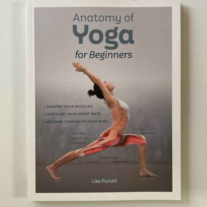 Anatomy of Yoga for Beginners