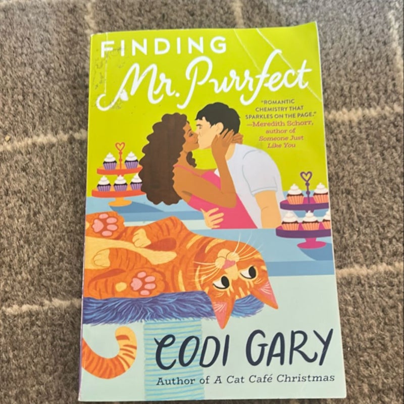 Finding Mr. Purrfect