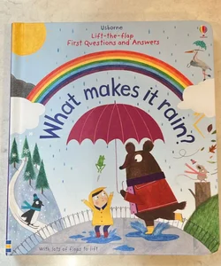 Lift-the-flap First Questions and Answers What Makes it Rain?