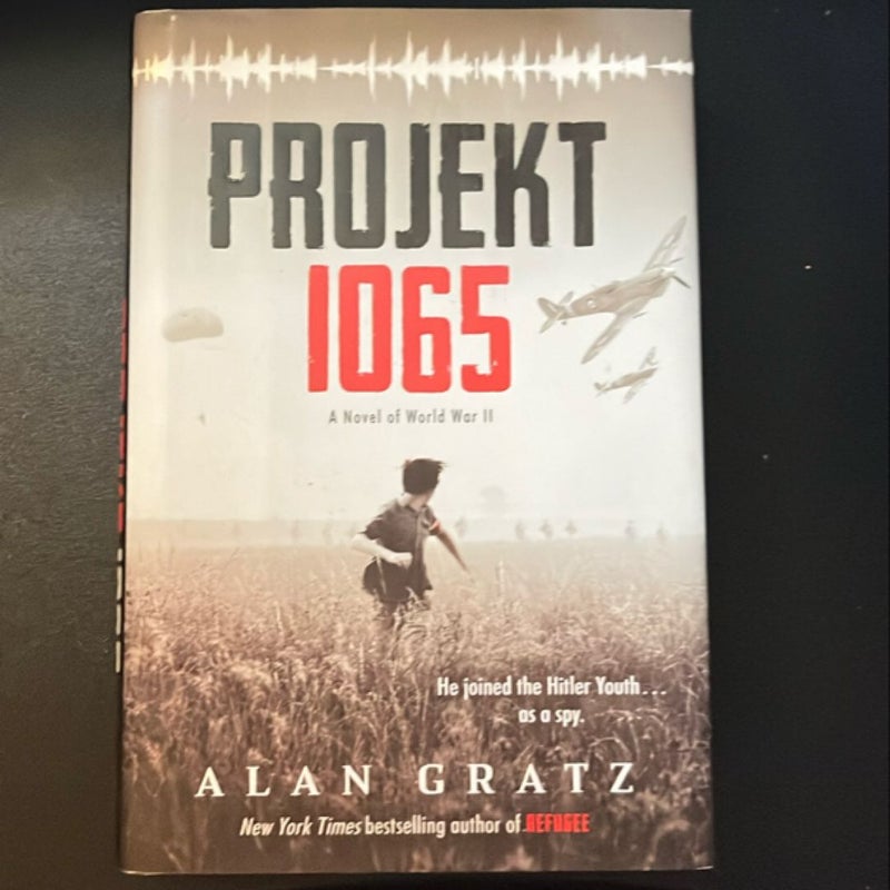 Projekt 1065