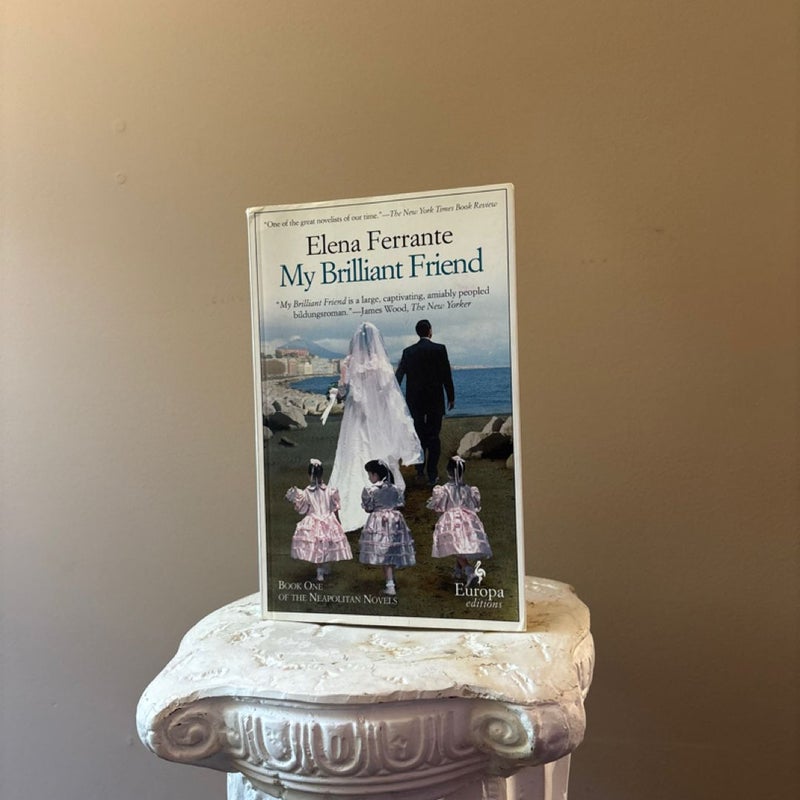 My Brilliant Friend