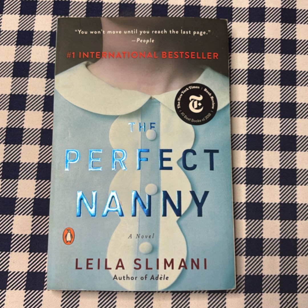 The Perfect Nanny
