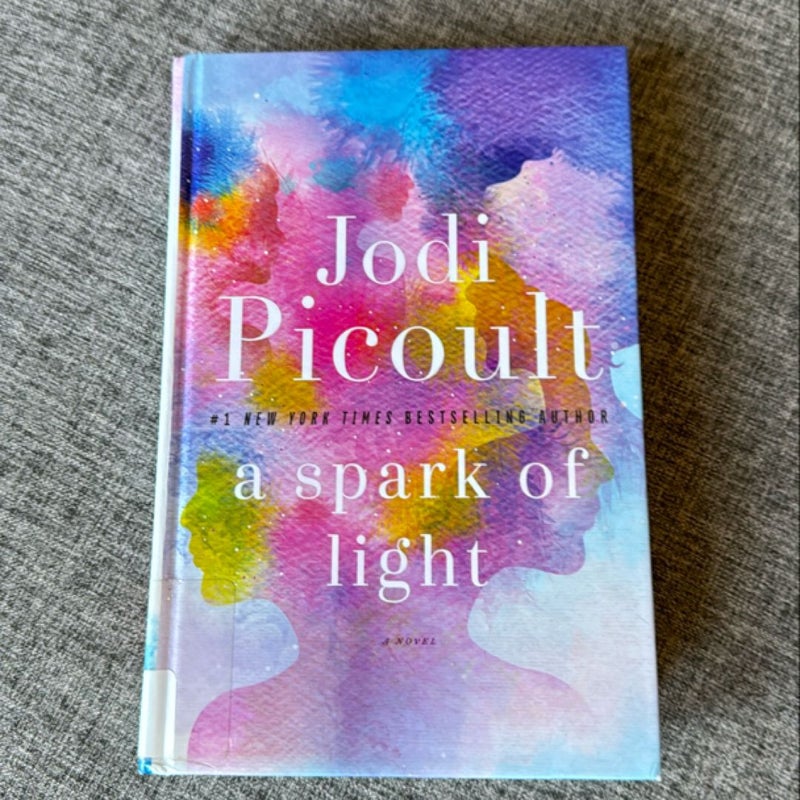 A Spark of Light (Large Print)