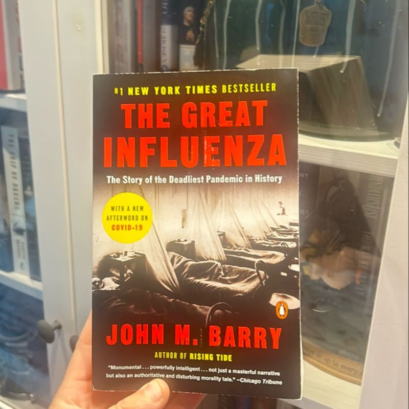 The Great Influenza