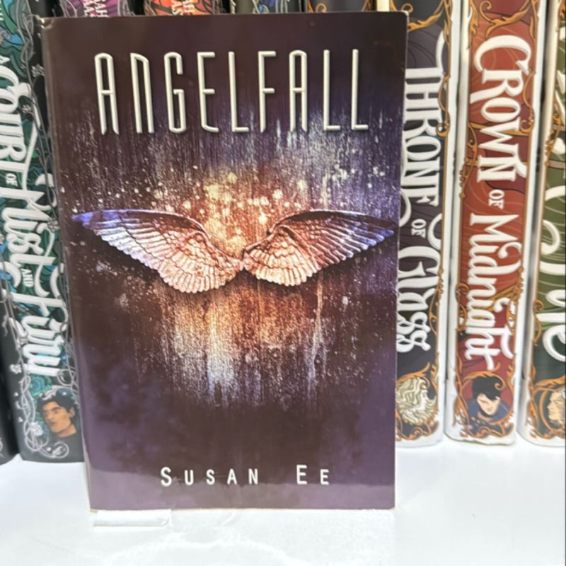 Angelfall