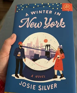 A Winter in New York