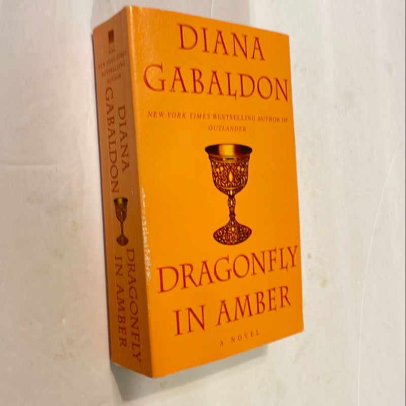 Dragonfly in Amber  (1499)