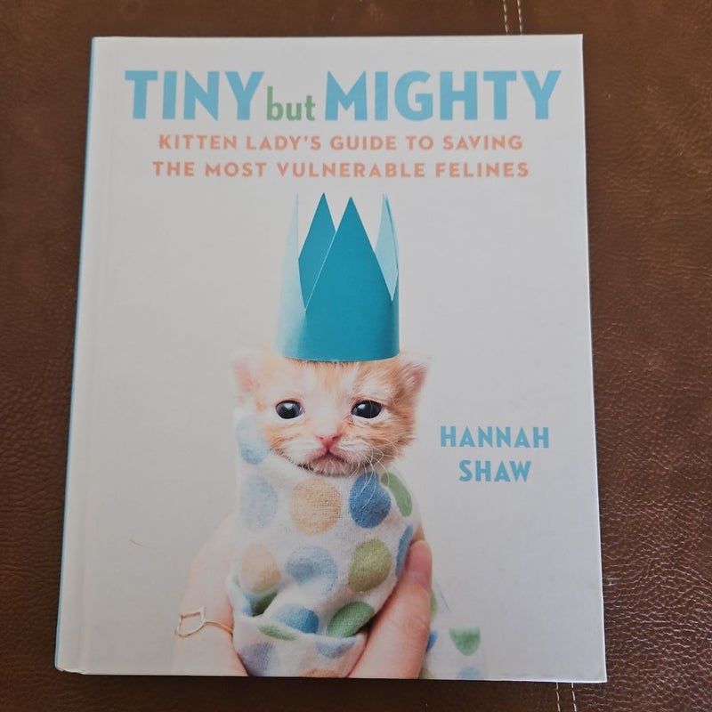 Tiny but Mighty