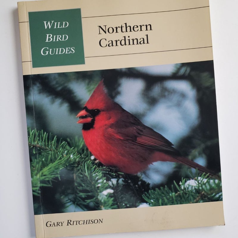 Northern Cardinal