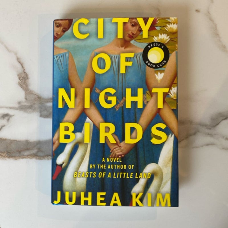 City of Night Birds