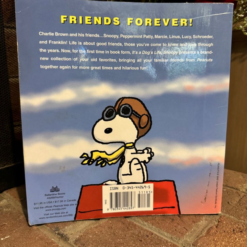 Peanuts Book Bundle 