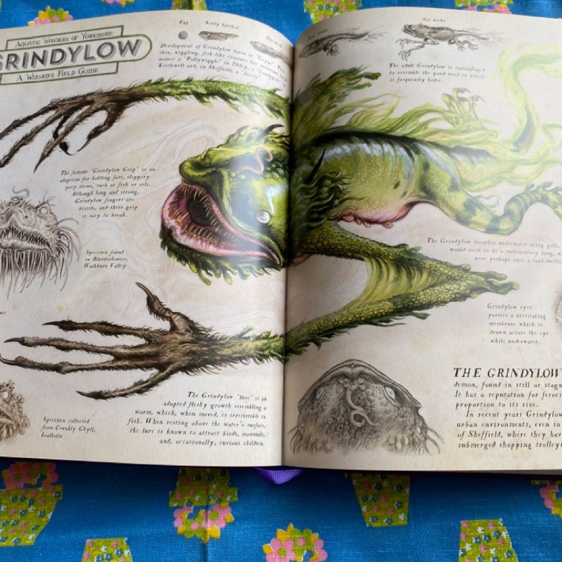 Harry Potter and the Prisoner of Azkaban: the Illustrated Edition