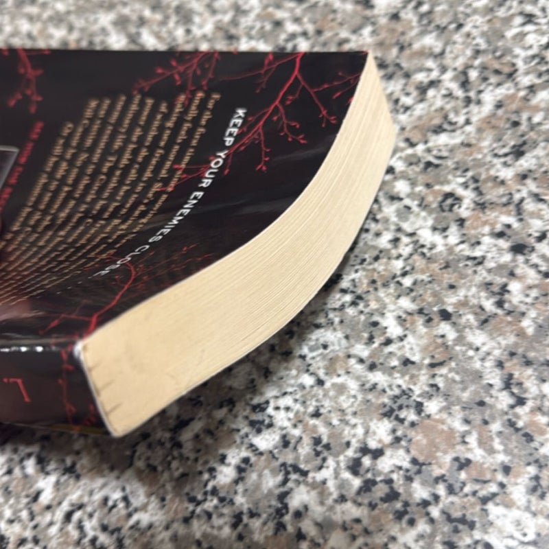 The Secret Circle: the Divide 1st edition