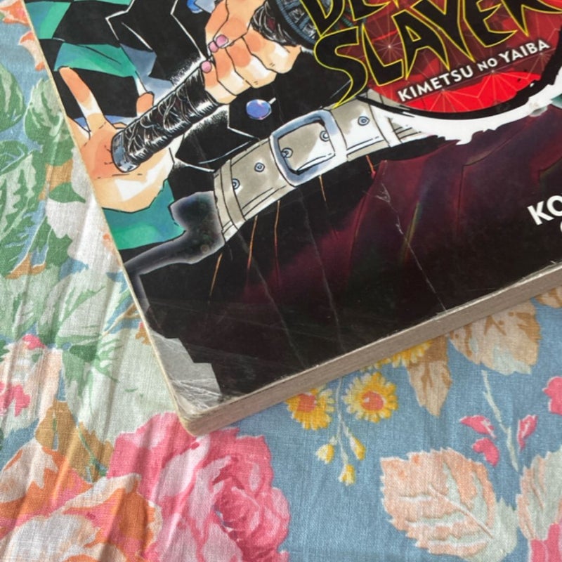 Demon Slayer: Kimetsu No Yaiba, Vol. 10