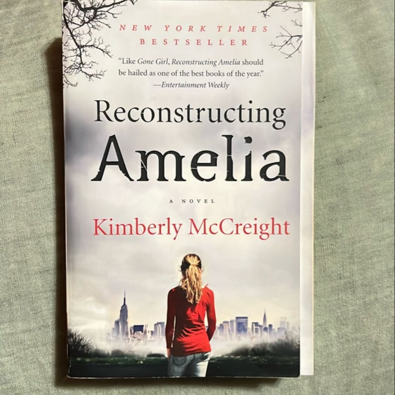 Reconstructing Amelia