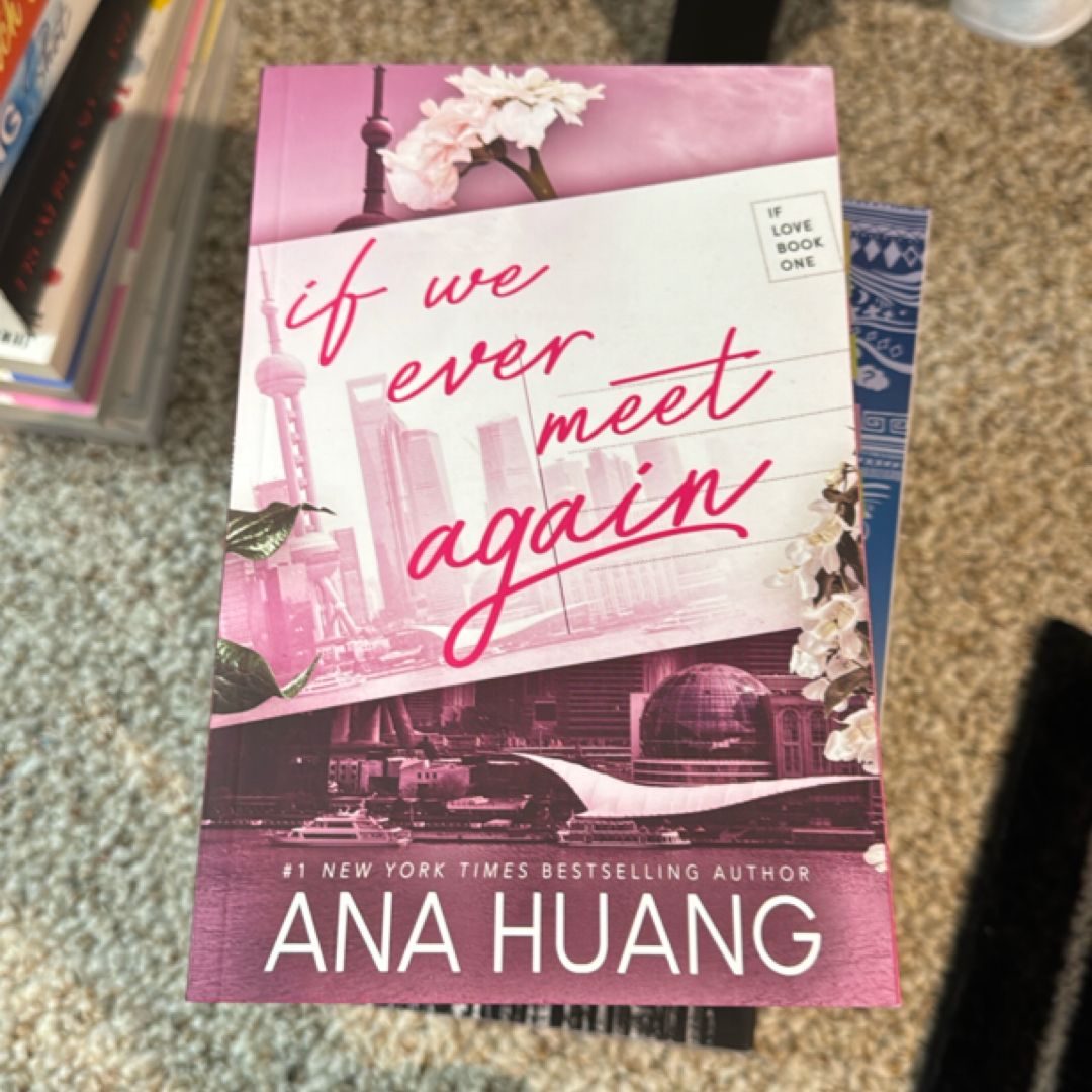 If We Ever Meet Again