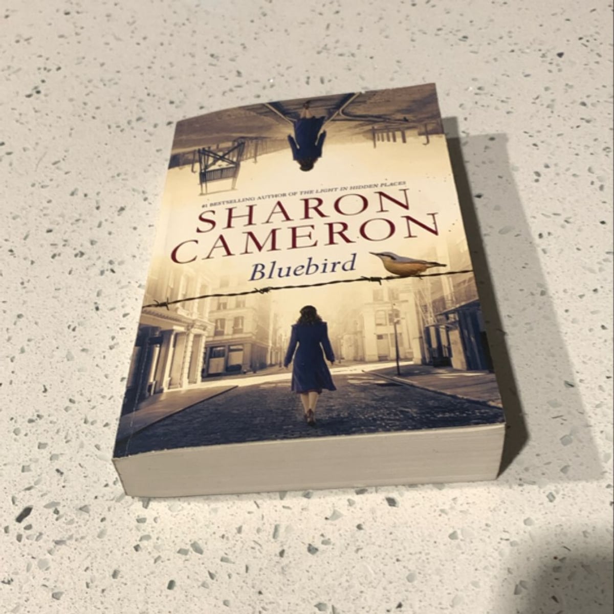 Bluebird by Sharon Cameron