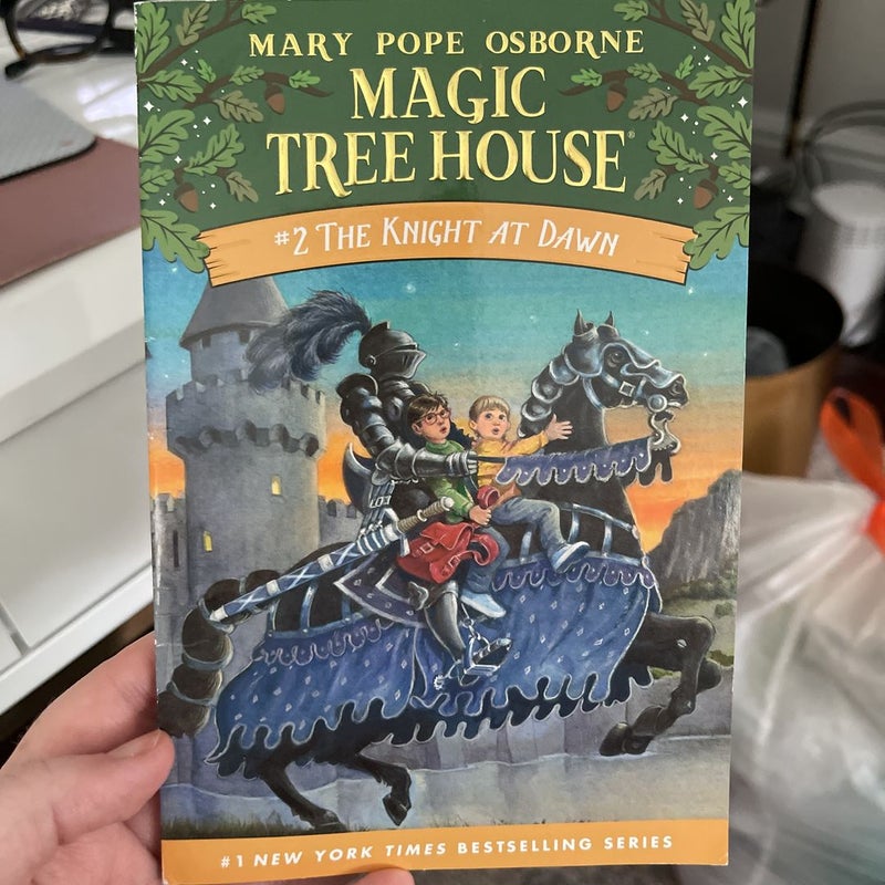Set of Eleven Magic Treehouse Books
