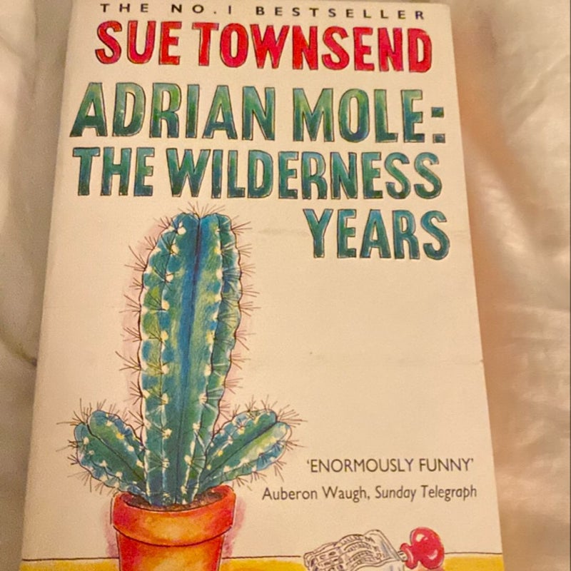 Adrian Mole the Wilderness Years