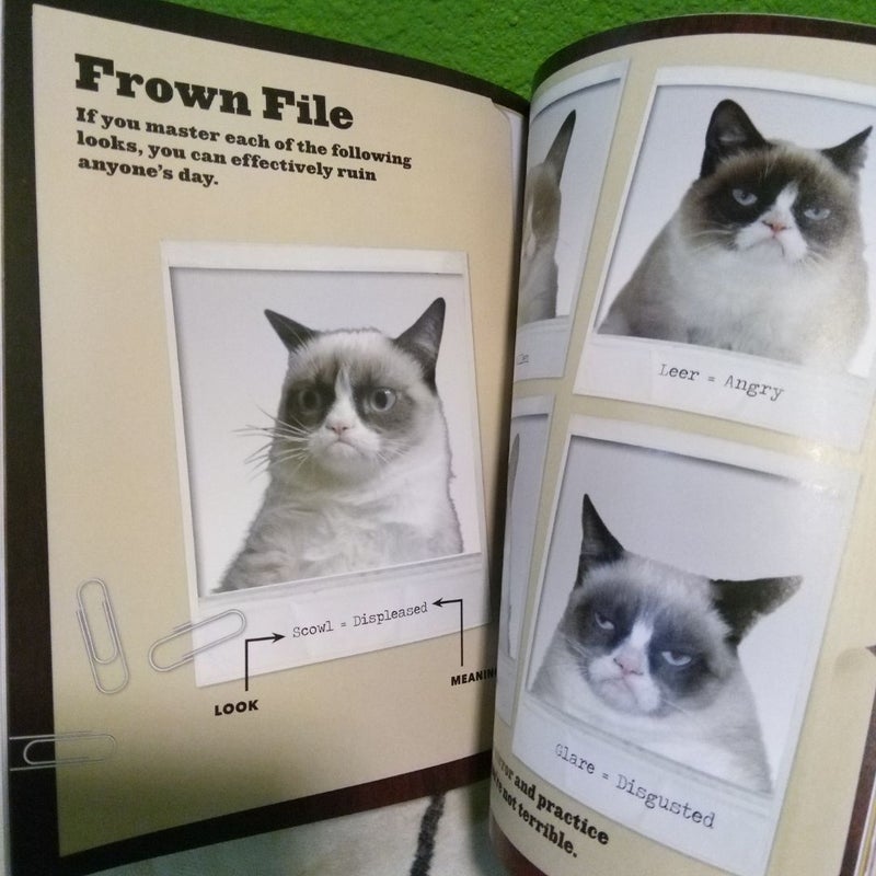 Grumpy Cat - First Scholastic Printing