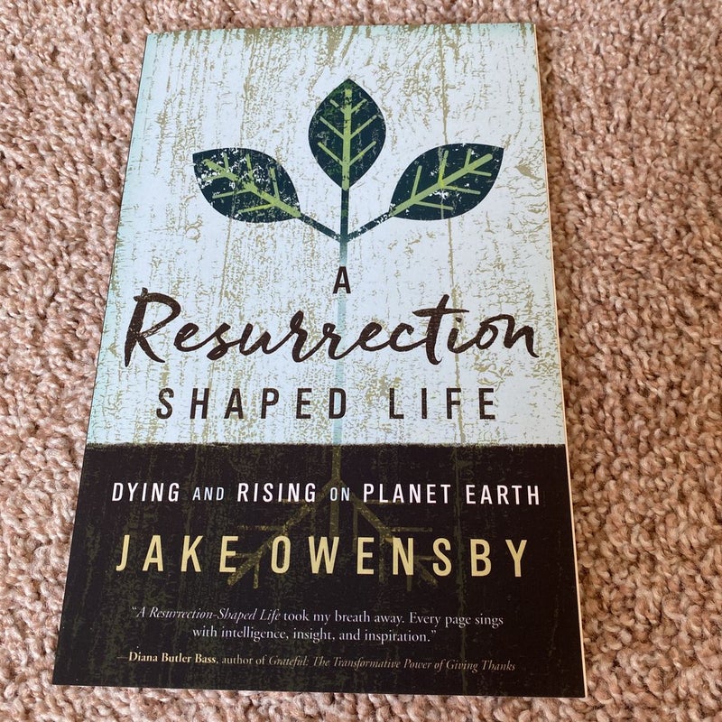 A Resurrection Shaped Life