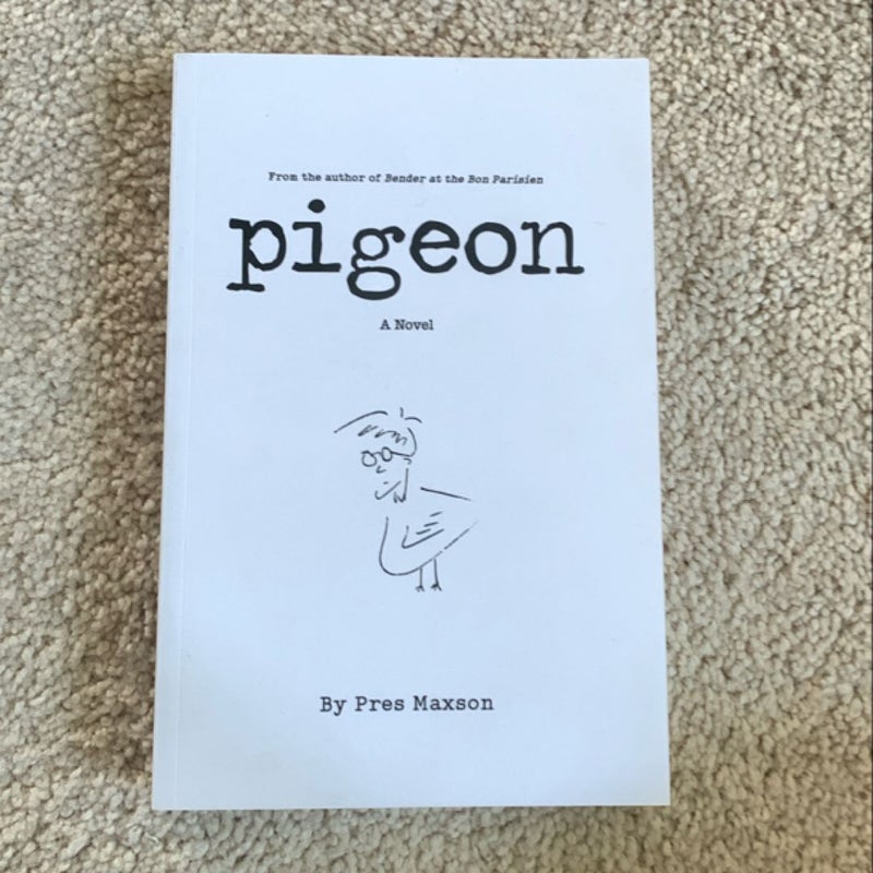 Pigeon