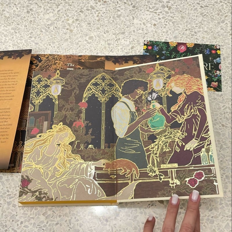 The Honey Witch Fairyloot Special Edition
