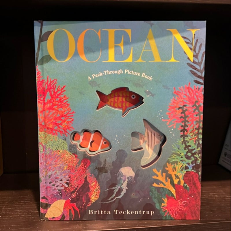 Ocean: a Peek-Through Picture Book