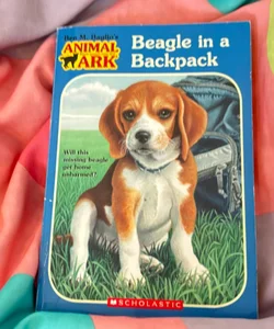 Beagle in a Backpack